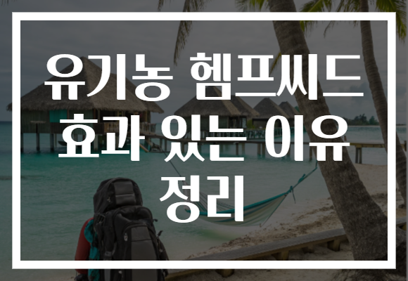 유기농 헴프씨드 효과 있는 이유 정리 유기농 헴프씨드 효과 있는 이유 정리