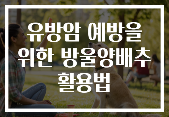 유방암 예방을 위한 방울양배추 활용법 유방암 예방을 위한 방울양배추 활용법