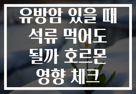 유방암 있을 때 석류 먹어도 될까 호르몬 영향 체크