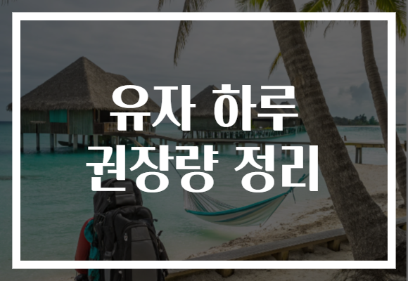 유자 하루 권장량 정리