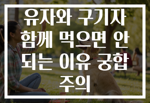 유자와 구기자 함께 먹으면 안 되는 이유 궁합 주의