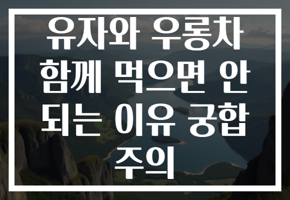 유자와 우롱차 함께 먹으면 안 되는 이유 궁합 주의