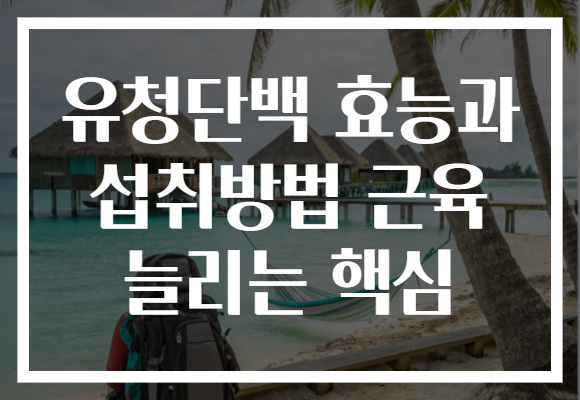 유청단백 효능과 섭취방법 근육 늘리는 핵심