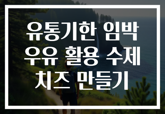 유통기한 임박 우유 활용 수제 치즈 만들기 유통기한 임박 우유 활용 수제 치즈 만들기