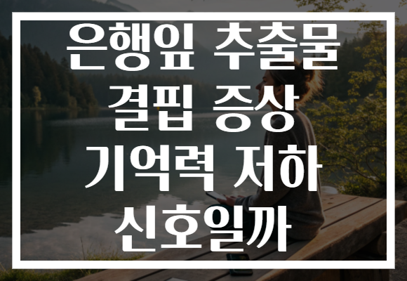 은행잎 추출물 결핍 증상 기억력 저하 신호일까