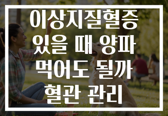 이상지질혈증 있을 때 양파 먹어도 될까 혈관 관리