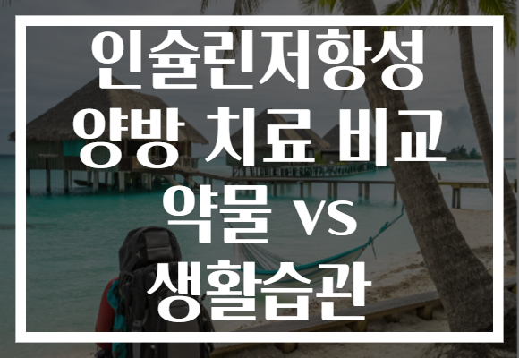 인슐린저항성 양방 치료 비교 약물 vs 생활습관