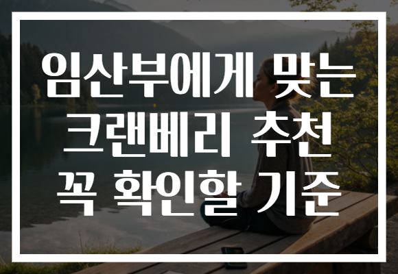 임산부에게 맞는 크랜베리 추천 꼭 확인할 기준 임산부에게 맞는 크랜베리 추천 꼭 확인할 기준