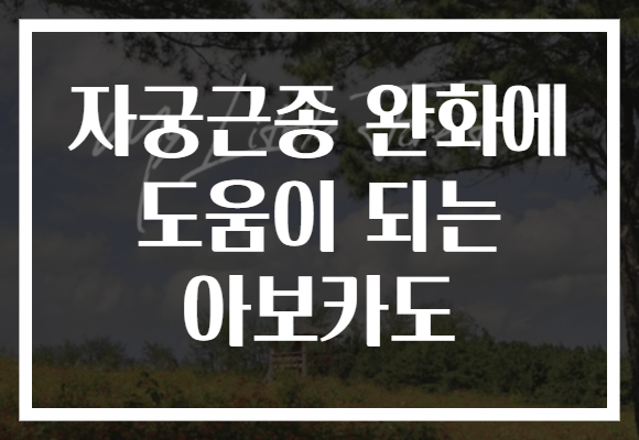 자궁근종 완화에 도움이 되는 아보카도 자궁근종 완화에 도움이 되는 아보카도