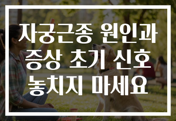 자궁근종 원인과 증상 초기 신호 놓치지 마세요