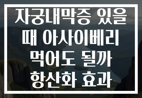 자궁내막증 있을 때 아사이베리 먹어도 될까 항산화 효과
