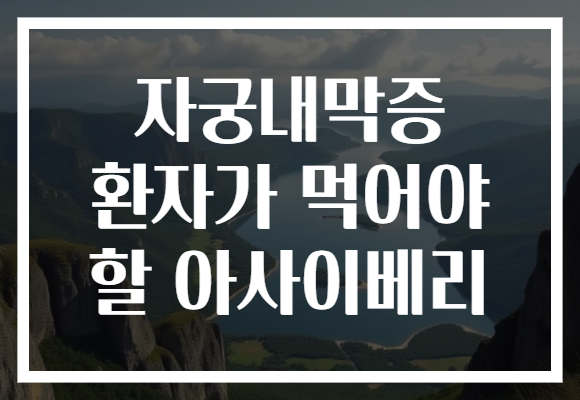 자궁내막증 환자가 먹어야 할 아사이베리