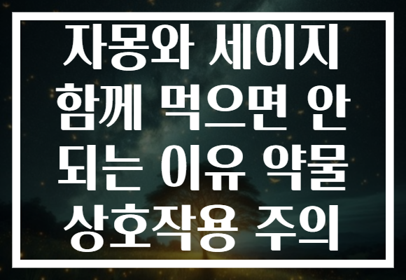 자몽와 세이지 함께 먹으면 안 되는 이유 약물 상호작용 주의