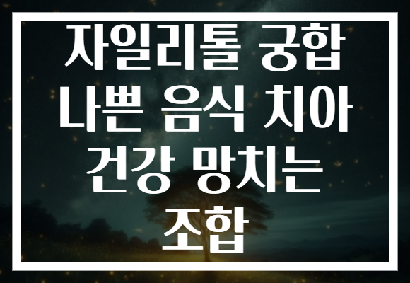 자일리톨 궁합 나쁜 음식 치아 건강 망치는 조합 자일리톨 궁합 나쁜 음식 치아 건강 망치는 조합