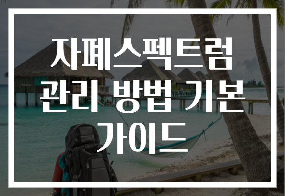 자폐스펙트럼 관리 방법 기본 가이드 자폐스펙트럼 관리 방법 기본 가이드