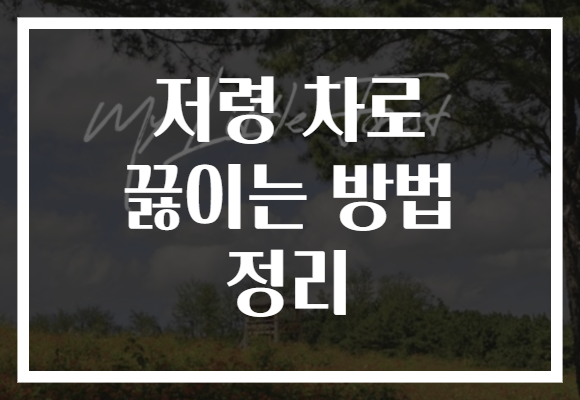 저령 차로 끓이는 방법 정리