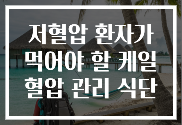 저혈압 환자가 먹어야 할 케일 혈압 관리 식단