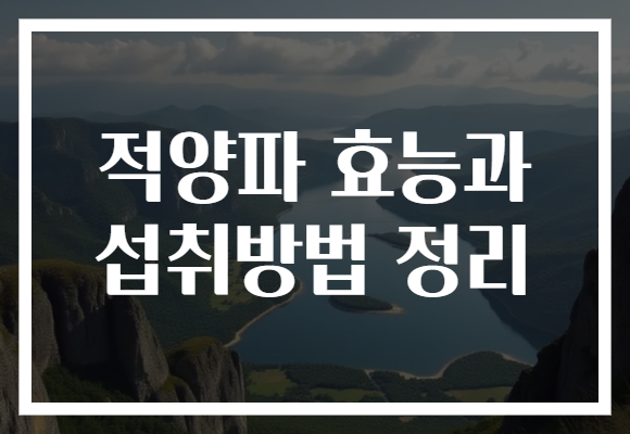적양파 효능과 섭취방법 정리