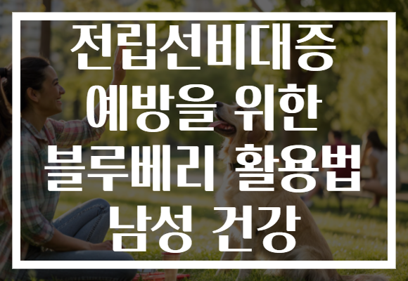 전립선비대증 예방을 위한 블루베리 활용법 남성 건강