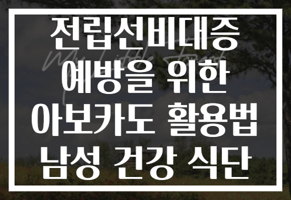 전립선비대증 예방을 위한 아보카도 활용법 남성 건강 식단