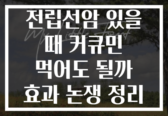 전립선암 있을 때 커큐민 먹어도 될까 효과 논쟁 정리
