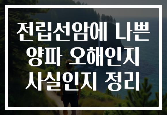 전립선암에 나쁜 양파 오해인지 사실인지 정리