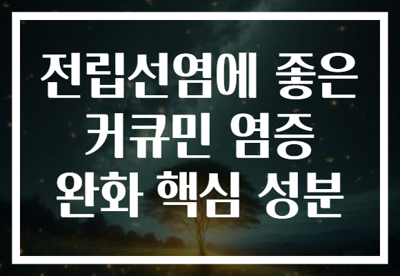 전립선염에 좋은 커큐민 염증 완화 핵심 성분