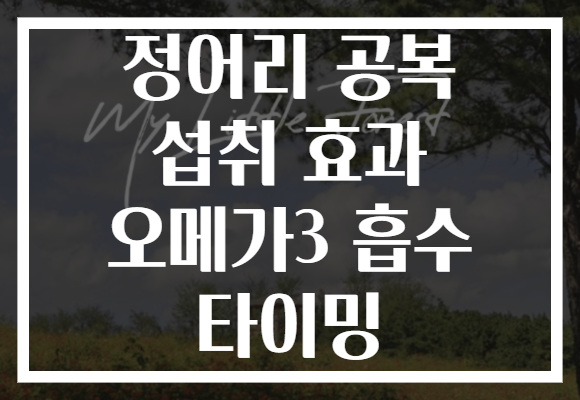 정어리 공복 섭취 효과 오메가3 흡수 타이밍