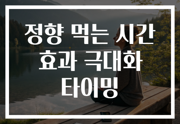 정향 먹는 시간 효과 극대화 타이밍