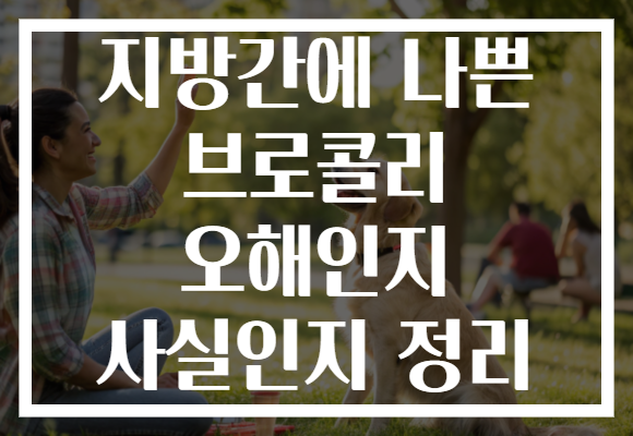 지방간에 나쁜 브로콜리 오해인지 사실인지 정리 지방간에 나쁜 브로콜리 오해인지 사실인지 정리
