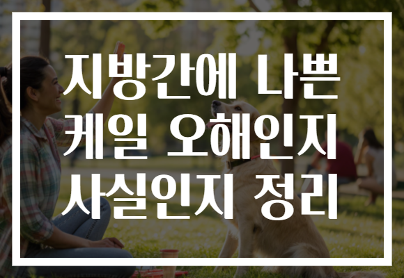 지방간에 나쁜 케일 오해인지 사실인지 정리 지방간에 나쁜 케일 오해인지 사실인지 정리