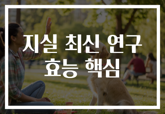 지실 최신 연구 효능 핵심