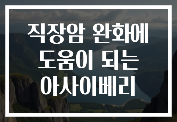 직장암 완화에 도움이 되는 아사이베리