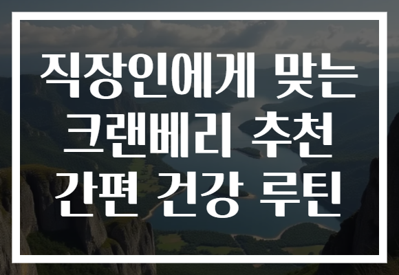 직장인에게 맞는 크랜베리 추천 간편 건강 루틴