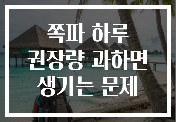 쪽파 하루 권장량 과하면 생기는 문제