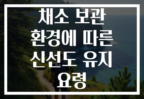 채소 보관 환경에 따른 신선도 유지 요령 채소 보관 환경에 따른 신선도 유지 요령