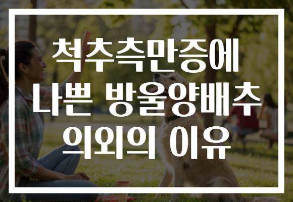 척추측만증에 나쁜 방울양배추 의외의 이유