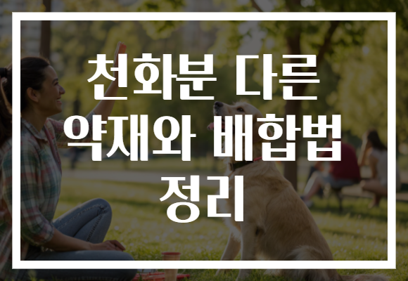 천화분 다른 약재와 배합법 정리 천화분 다른 약재와 배합법 정리