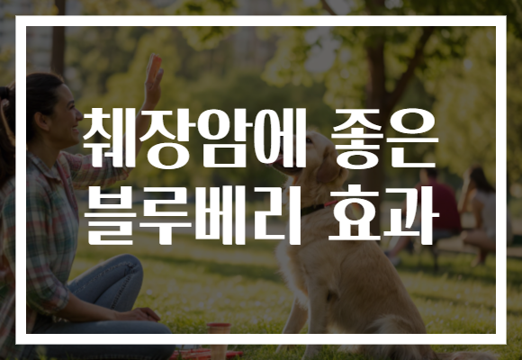 췌장암에 좋은 블루베리 효과