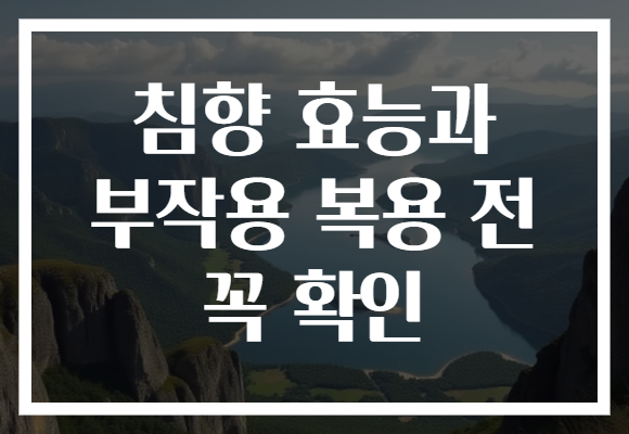 침향 효능과 부작용 복용 전 꼭 확인