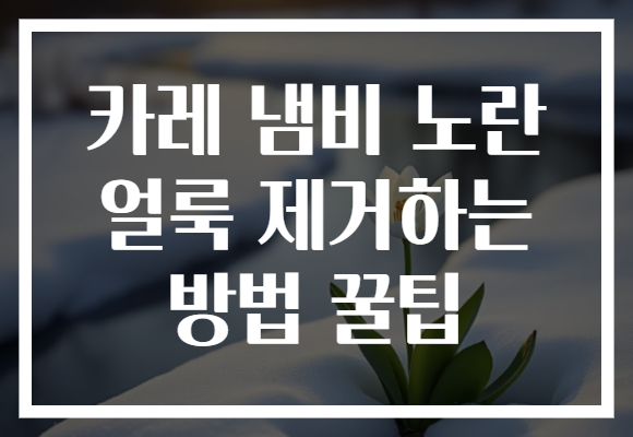 카레 냄비 노란 얼룩 제거하는 방법 꿀팁