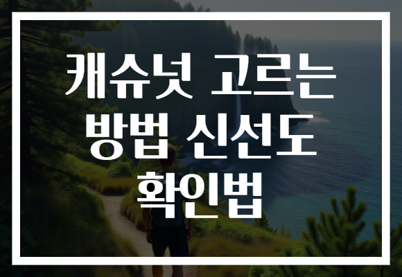 캐슈넛 고르는 방법 신선도 확인법