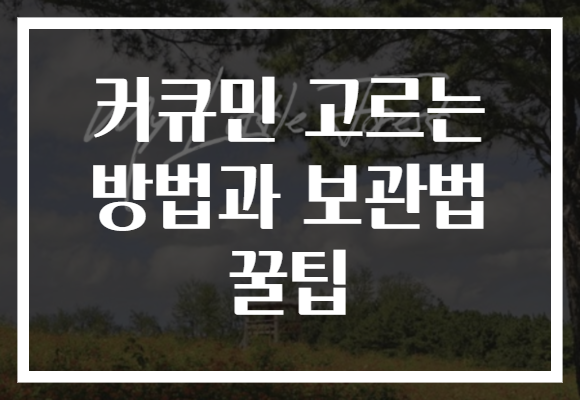 커큐민 고르는 방법과 보관법 꿀팁 커큐민 고르는 방법과 보관법 꿀팁