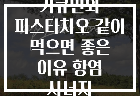 커큐민와 피스타치오 같이 먹으면 좋은 이유 항염 시너지