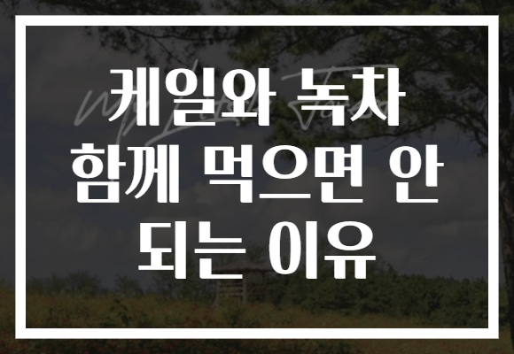 케일와 녹차 함께 먹으면 안 되는 이유 케일와 녹차 함께 먹으면 안 되는 이유