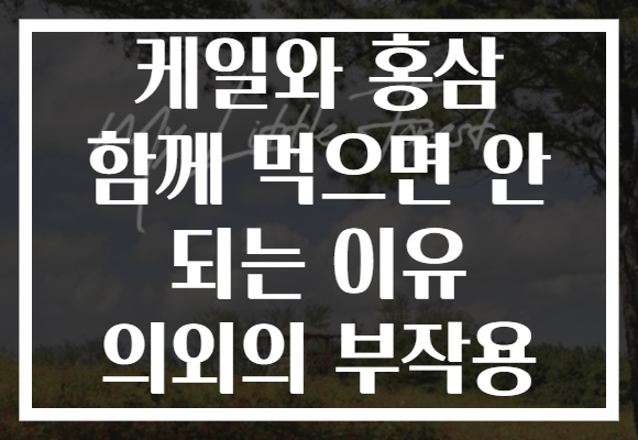 케일와 홍삼 함께 먹으면 안 되는 이유 의외의 부작용