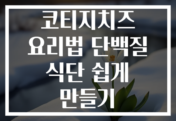 코티지치즈 요리법 단백질 식단 쉽게 만들기