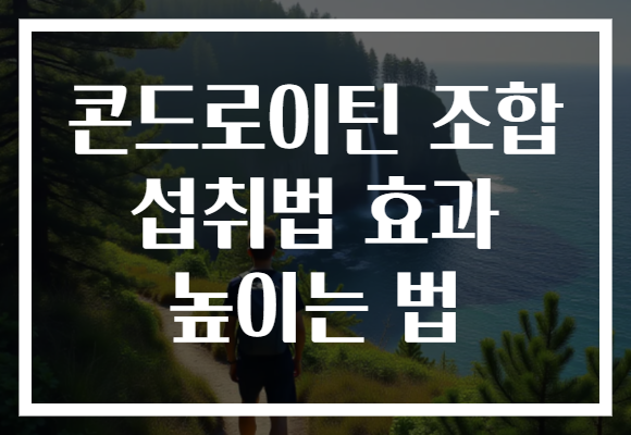 콘드로이틴 조합 섭취법 효과 높이는 법