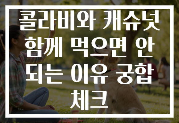 콜라비와 캐슈넛 함께 먹으면 안 되는 이유 궁합 체크