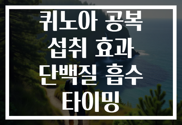 퀴노아 공복 섭취 효과 단백질 흡수 타이밍